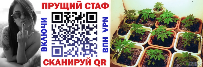 Сколько стоит Котлас А ПВП КОКАИН Мефедрон Вейп ТГК ГАШ Канабис