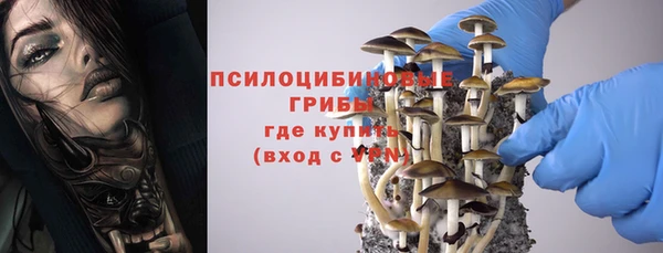ГАЛЛЮЦИНОГЕННЫЕ ГРИБЫ Заволжск