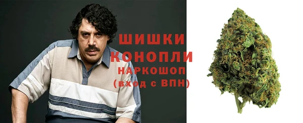 молекула духа Зерноград
