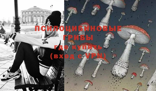 молекула духа Зерноград