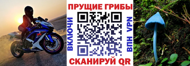 наркота  Котлас  Галлюциногенные грибы прущие грибы 