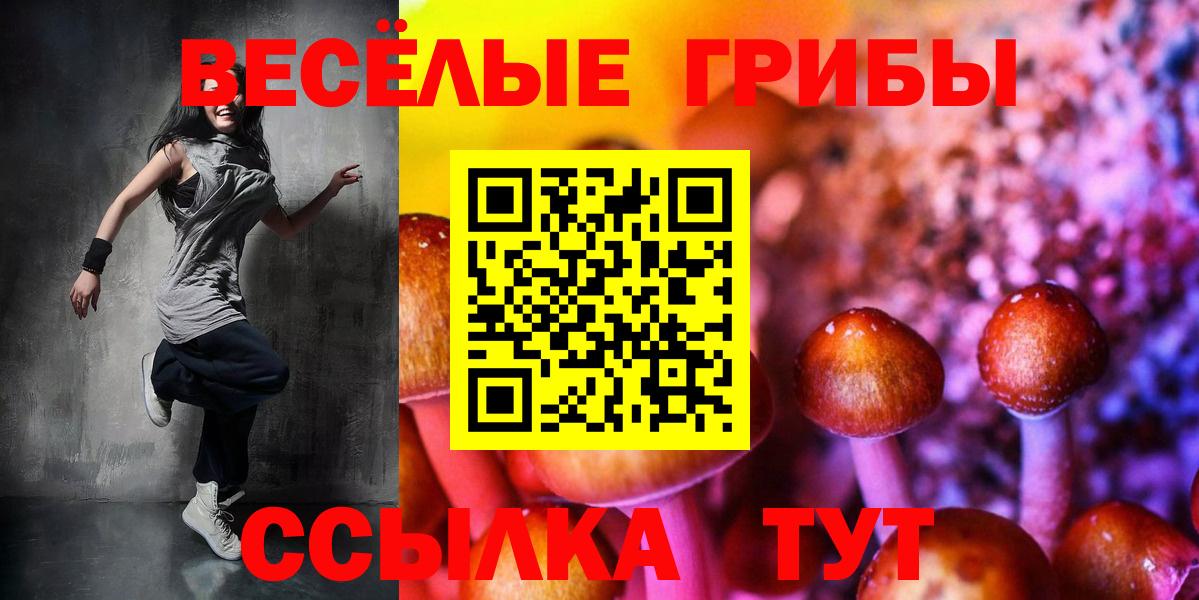где купить наркоту  Галлюциногенные грибы прущие грибы  Вход с VPN  Котлас 